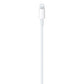 Apple USB-C to Lightning Cable (2M)